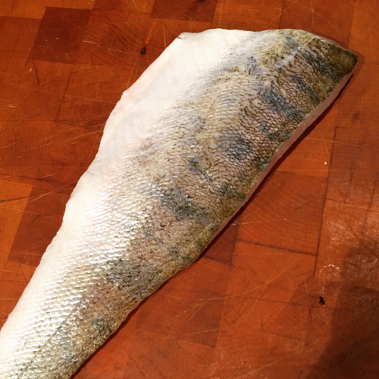 Irgendwie ‚fischig‘