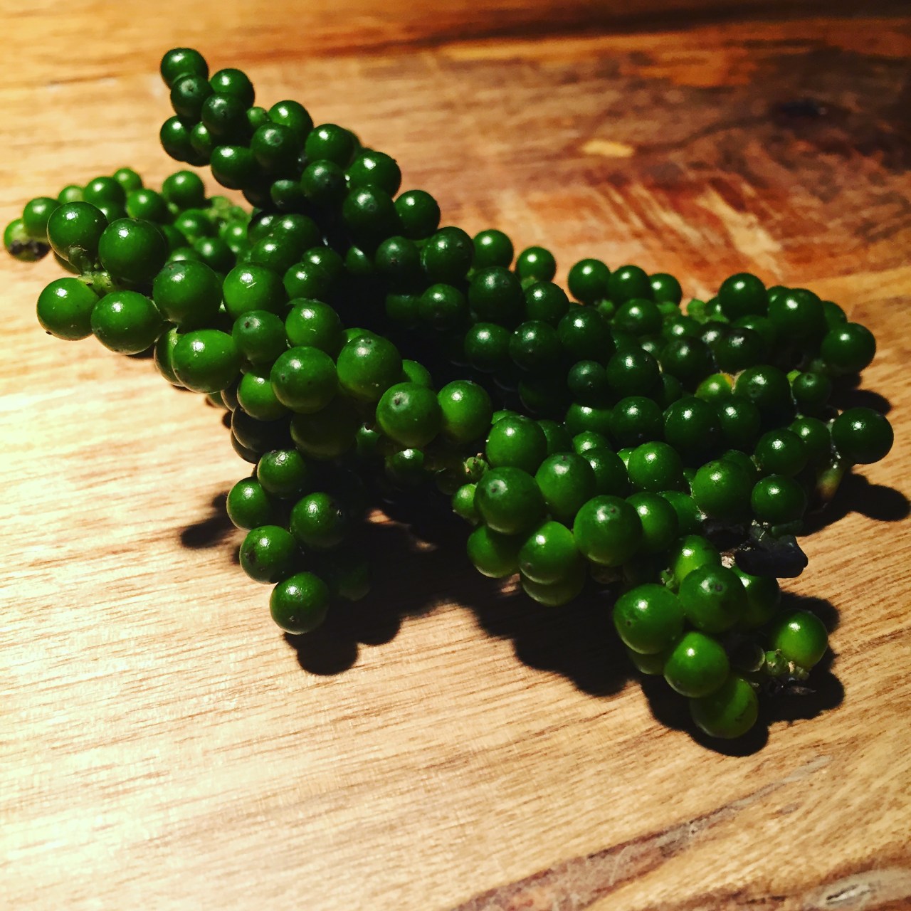 Blog schreiben…Freud und&nbsp;Leid